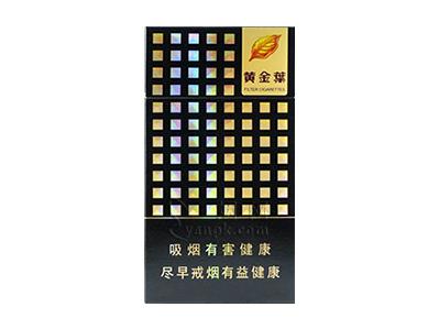 黄金叶(炫尚)